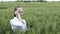 Young woman farmer wearing white bathrobe is checking harvest progress on a tablet at the green wheat field.