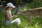 Young woman feed deers bambi. Cute wild animals concept.