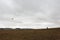 Young woman in the field playing with a kite in the clouds on windy and foggy autumn afternoon. Czech countryside.