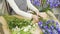 Young woman florist checking and selecting the best flowers for a bouquet in a workshop or flower shop