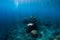 Young woman free diver glides with fins near underwater temple. Freediving in blue ocean