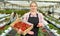 Young woman gardener in apron pholding crate with fresh strawberries