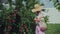 Young woman gardener picking plums in string eco mesh bag in her family backyard garden, slow motion