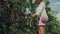 Young woman gardener picking plums in string eco mesh bag in her family backyard garden, slow motion