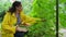 Young woman gardener wearing a yellow raincoat, putting a harvested crop of organic homegrown vegetables in a wooden box