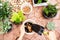 Young woman gardeners hand transplanting a plant into a new pot