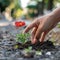 Young woman gently planting a vibrant red flower in soil, symbolizing growth and nature care