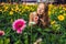 A young woman at a gerbera farm. Flower cultivation in greenhouses. A hothouse with gerbers. Daisy flowers plants in