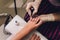 Young woman getting professional pedicure in beauty salon, closeup.