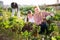 Young woman with a girl child is harvesting beets from the garden bed