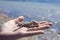 Young woman hand holding coral white rock fossil. Blurred sea on the background