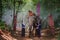 A young woman is handing a lunch box to her husband on an elephant`s back. The elephant in the jungle. Surin, Thailand