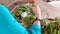 Young Woman Hands Cleaning Fresh Peas