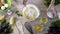 Young woman hands making dough in glass bowl, mixing baking products for pizza