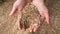 Young woman hands play with sand