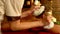 Young woman have hot exotic poultice massage in spa salon.4k.