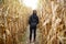 Young woman having fun on pumpkin fair at autumn. Person walking among the dried corn stalks in a corn maze. Traditional american