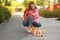 Young woman with her adorable Pembroke Welsh Corgi dog