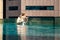 Young woman with her little daughter in the pool on the roof of a skyscraper in a metropolis look overboard