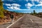 Young woman hiker with backpack from behind standing on wayside of road and hitchhiking near Pico del Teide mountain in El Teide