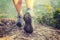 Young woman hiker legs climbing at mountain peak