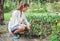 Young woman with hoe working in the garden