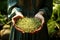 Young Woman Holding Bowl with Gooseberries - Closeup (AI generated)