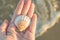 Young Woman Holding in Hand Beautiful Flat Round Sea Shell. Blue Turquoise Water Background Golden Sunlight.