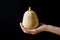 Young Woman Holding in Hand Small Butternut Squash White Pumpkin on Black Background. Harvest Halloween Thanksgiving Autumn