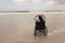 Young woman holding hat and sitting on wheelchair on beach