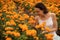 Young woman holding marigold flower and enjoying the fragrance. Marigold valley in Bali