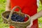 Young woman holding wicker basket witn fresh blueberry