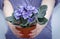 The young woman holds in a hands purple flowers in a pot