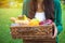 Young woman holds straw basket with healthy food, bananas, apple, orange, corn, whole wheat bread vegetables and fruits