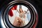 Young woman at home puts the dress in the drying machine.