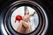 Young woman at home puts the dress in the drying machine.