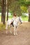 Young woman on a horse. Horseback rider, woman riding horse