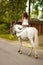 Young woman on a horse. Horseback rider, woman riding horse