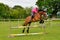 Young woman jumping over a coloured fence on her horse.