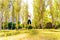 A young woman jumping in a park on a sunny day