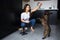 Young woman in kitchen during quarantine. Girl traning french bulldog using dog food and playing with pet. Darkskinned