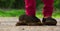 Young woman leg and foot stepping on cow dung