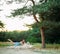 Young woman levitates in forest and reads flying books