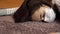 A young woman lies on the floor dead. A woman in a medical mask lies on the floor of unconsciousness closeup.