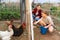 Young woman with little girl feeding poultry