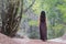 Young woman in long dress walks barefoot in forest