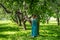 Young woman in a long dress in a wonderful spring orchard