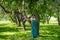 Young woman in a long dress in a wonderful spring orchard