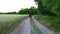 Young woman with long hair in long dress runs on a field road, slow motion 4k shot