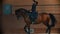 Young woman with long hair riding a brown horse around the arena of hippodrome